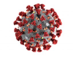 Ilustração 3D do novo coronavírus