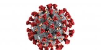 Ilustração 3D do novo coronavírus